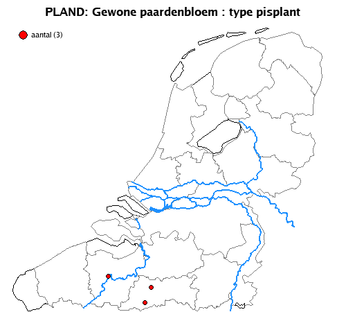 pisplant